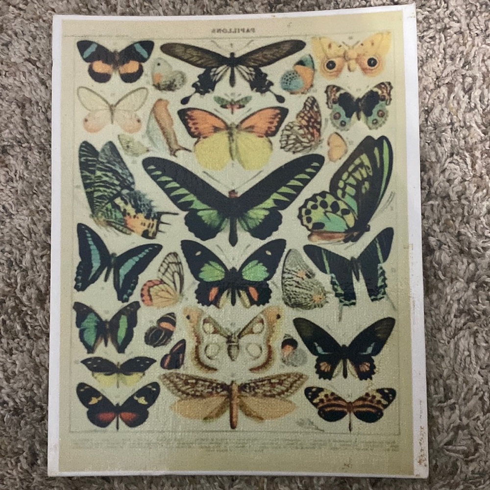 room decor